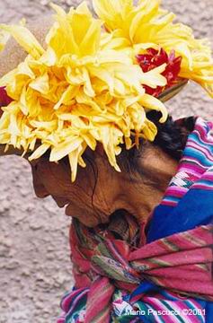 Flor de Pisac_Pisac_Peru