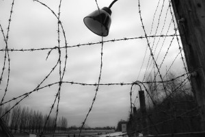  ©Heidi Wodzak - Dachau, 2018